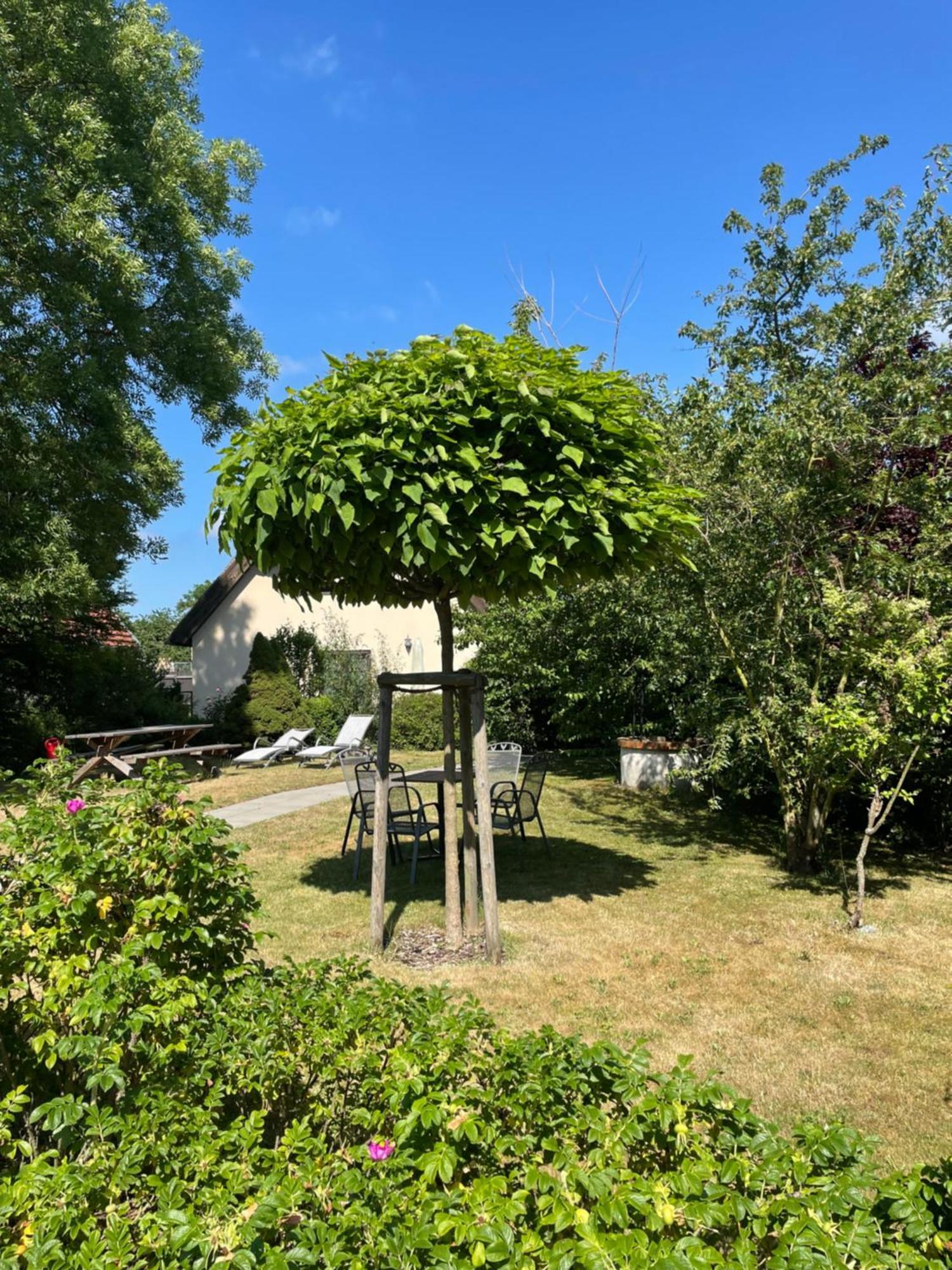 Fischerhus In Krummin - Nur Fuer Urlauber Екстер'єр фото